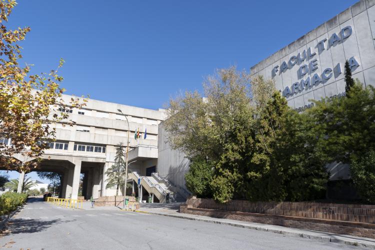 Tirocinio innovativo in Andalusia: un'opportunità formativa unica