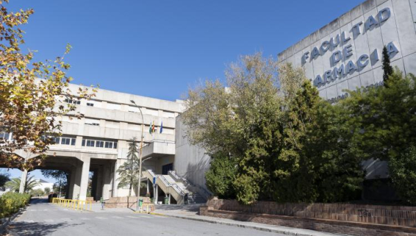 Tirocinio innovativo in Andalusia: un'opportunità formativa unica